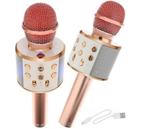 ISO 9002 Mikrofon Karaoke s reproduktorem světle růžový